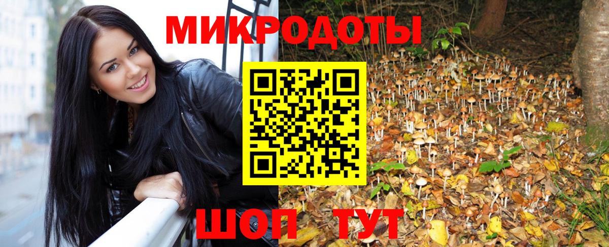 Псилоцибиновые грибы Psilocybine cubensis  Вход с VPN  цены наркотик  Лыткарино 