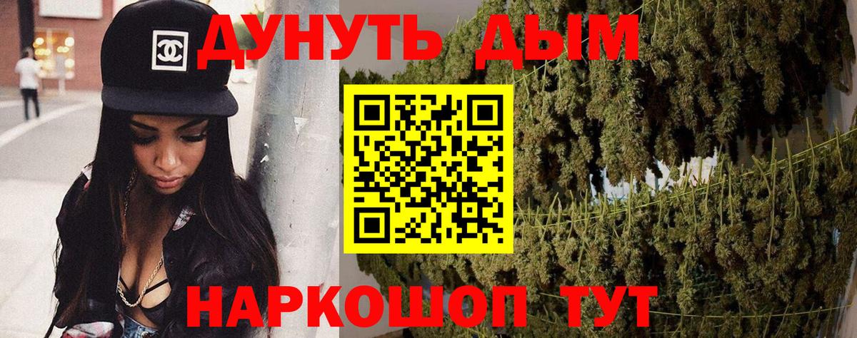 Бошки Шишки сатива  Вход с VPN  Конопля OG Kush  Конопля план  Лыткарино 